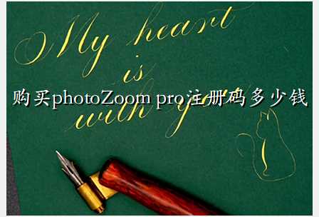 购买photoZoom pro注册码多少钱